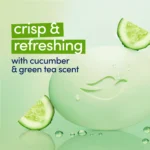 Dove Go Fresh Beauty Bar, Cool Moisture, 3.75 oz., 16 ct. - Image 4