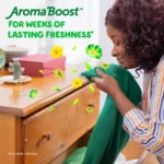 Gain Flings! 3 in 1 Laundry Detergent Pacs, Original Scents, 152 ct - Image 6