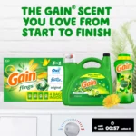 Gain Flings! 3 in 1 Laundry Detergent Pacs, Original Scents, 152 ct - Image 4